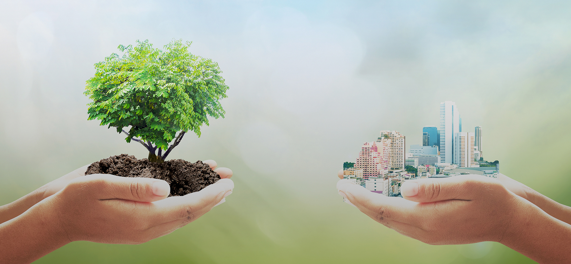 有機ゴミ処理システムALINの販売取次の株式会社4tree Corp.（フォーツリーコーポ）