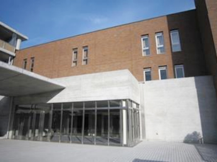 セラグリーン施工事例