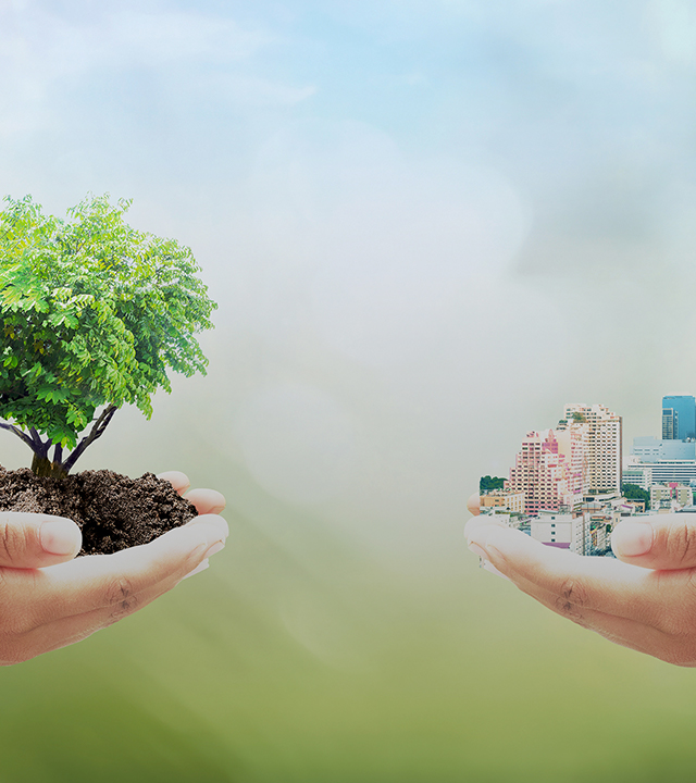 有機ゴミ処理システムALINの販売取次の株式会社4tree Corp.（フォーツリーコーポ）